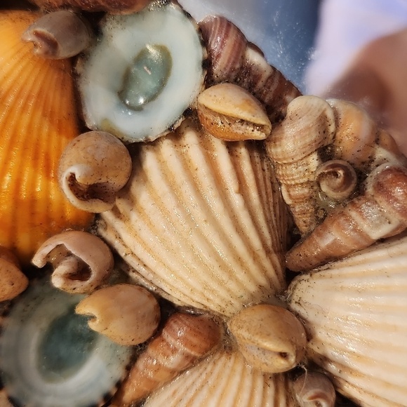1970s handmade seashell oval mirror coastal beach - Picture 5 of 14